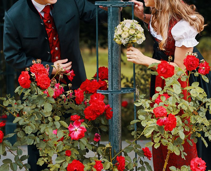 Karolinenhof Hainburg: Boho-Traum & Fotospots im Obstgarten